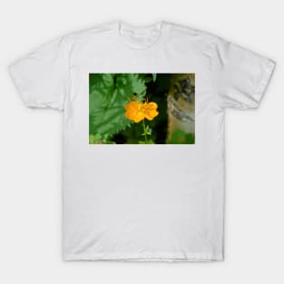 Forest Orange T-Shirt